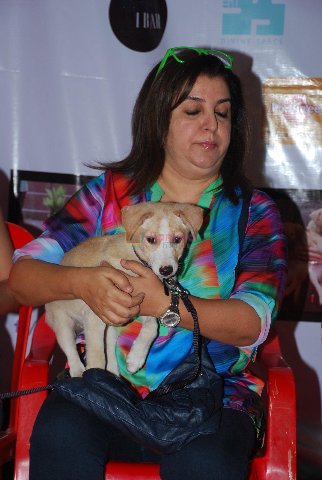 Farah Khan at pet adoption in Mumbai on 22nd Nov 2014