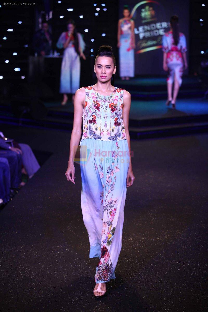 Model walk the ramp for Blenders Fashion Tour kolkata on 13th Dec 2014