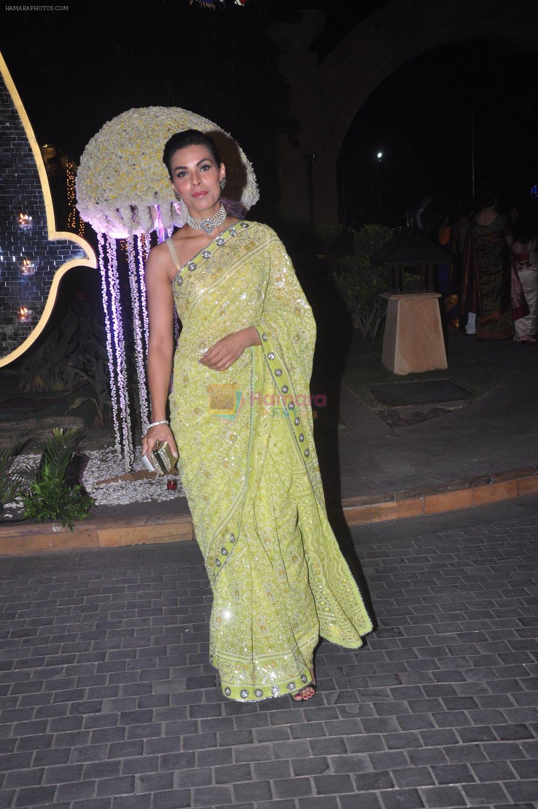 Deepti Gujral at Riddhi Malhotra & Tejas Talwalkar's wedding reception in J W Marriott, Mumbai on 15th Dec 2014