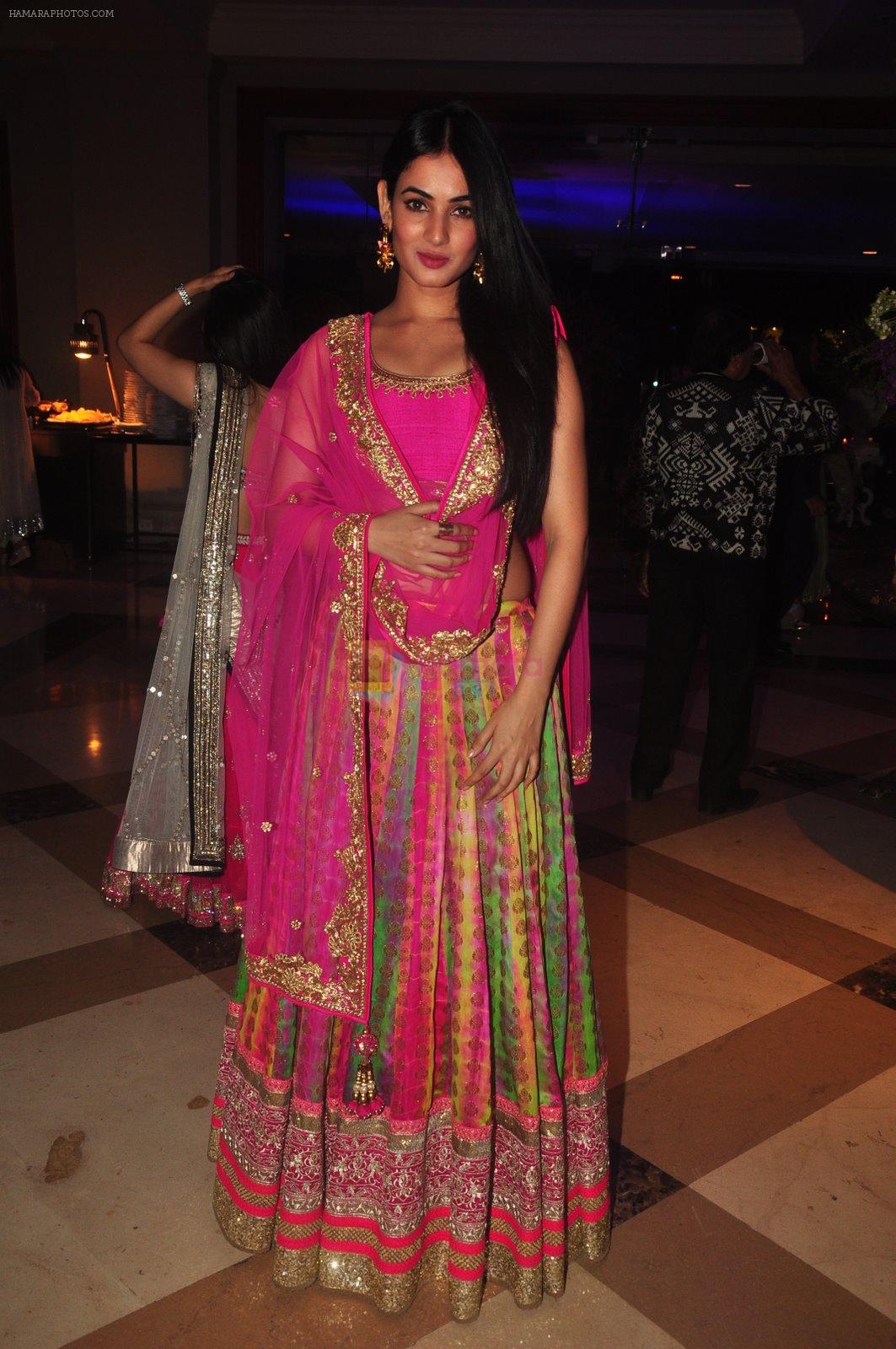 Sonal Chauhan at Vikram Singh's Brother Uday and Ali Morani�s daughter Shirin�s Sangeet Ceremony on 18th Dec 2014