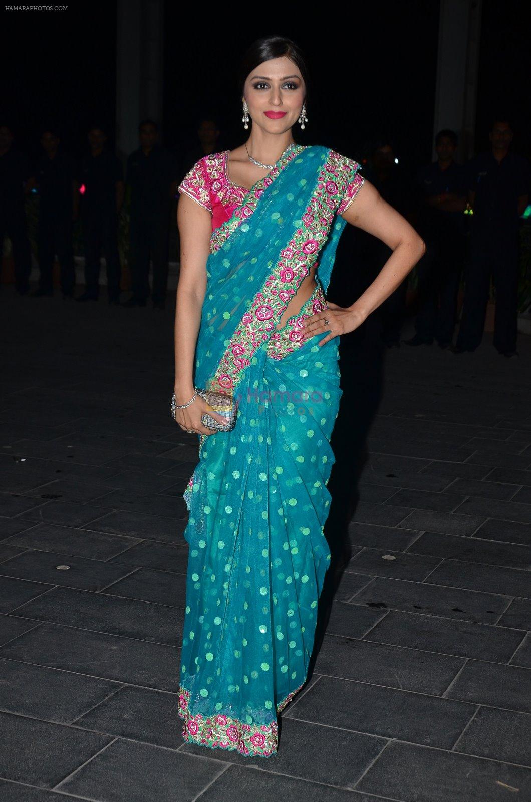 at Shirin Morani's wedding reception in Sahara Star, Mumbai on 21st Dec 2014