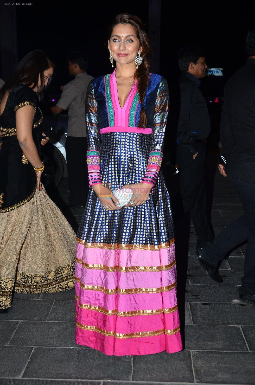 Anusha Dandekar at Shirin Morani's wedding reception in Sahara Star, Mumbai on 21st Dec 2014