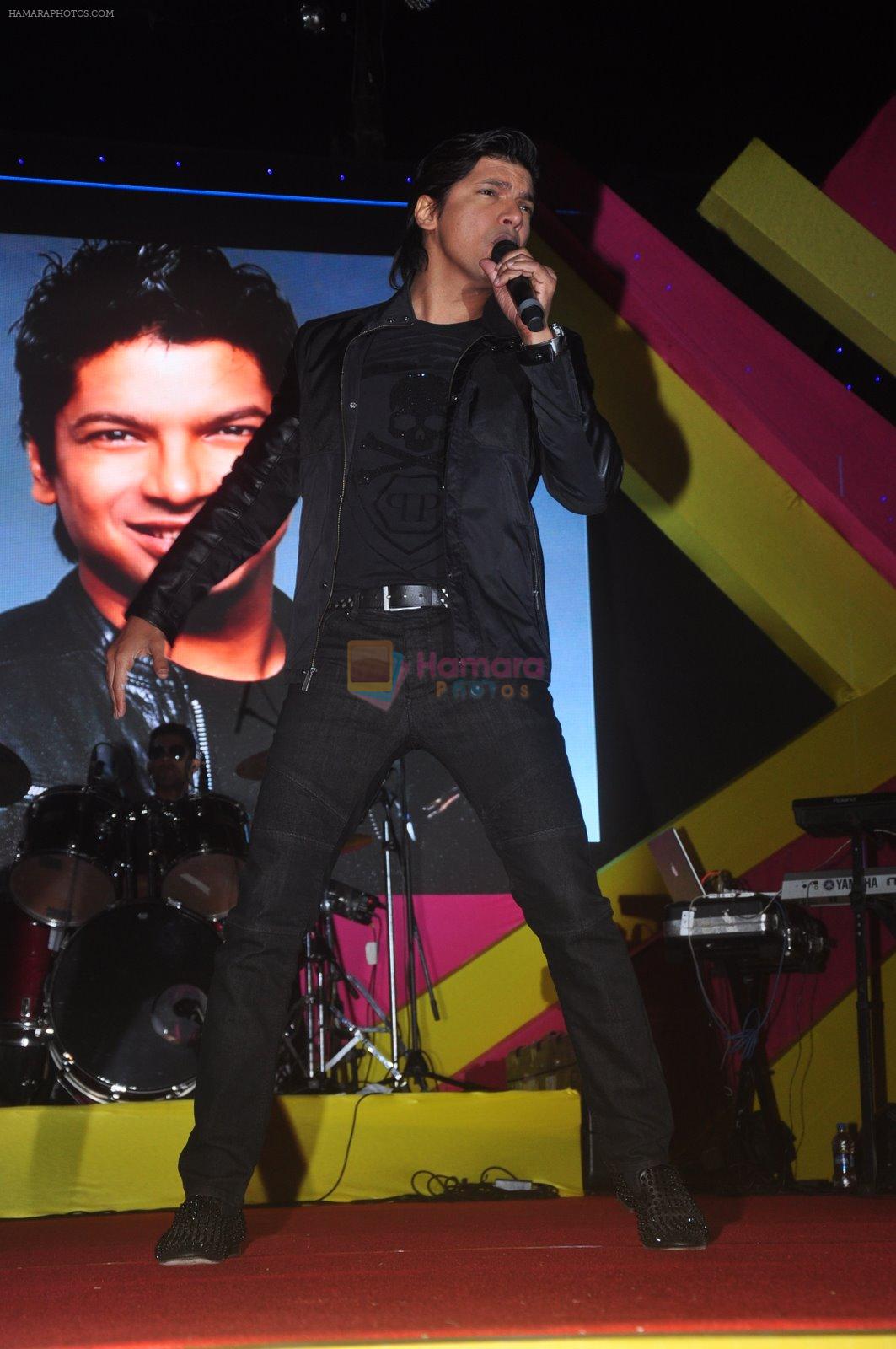 Shaan at Mulund Fest in Mumbai on 28th Dec 2014