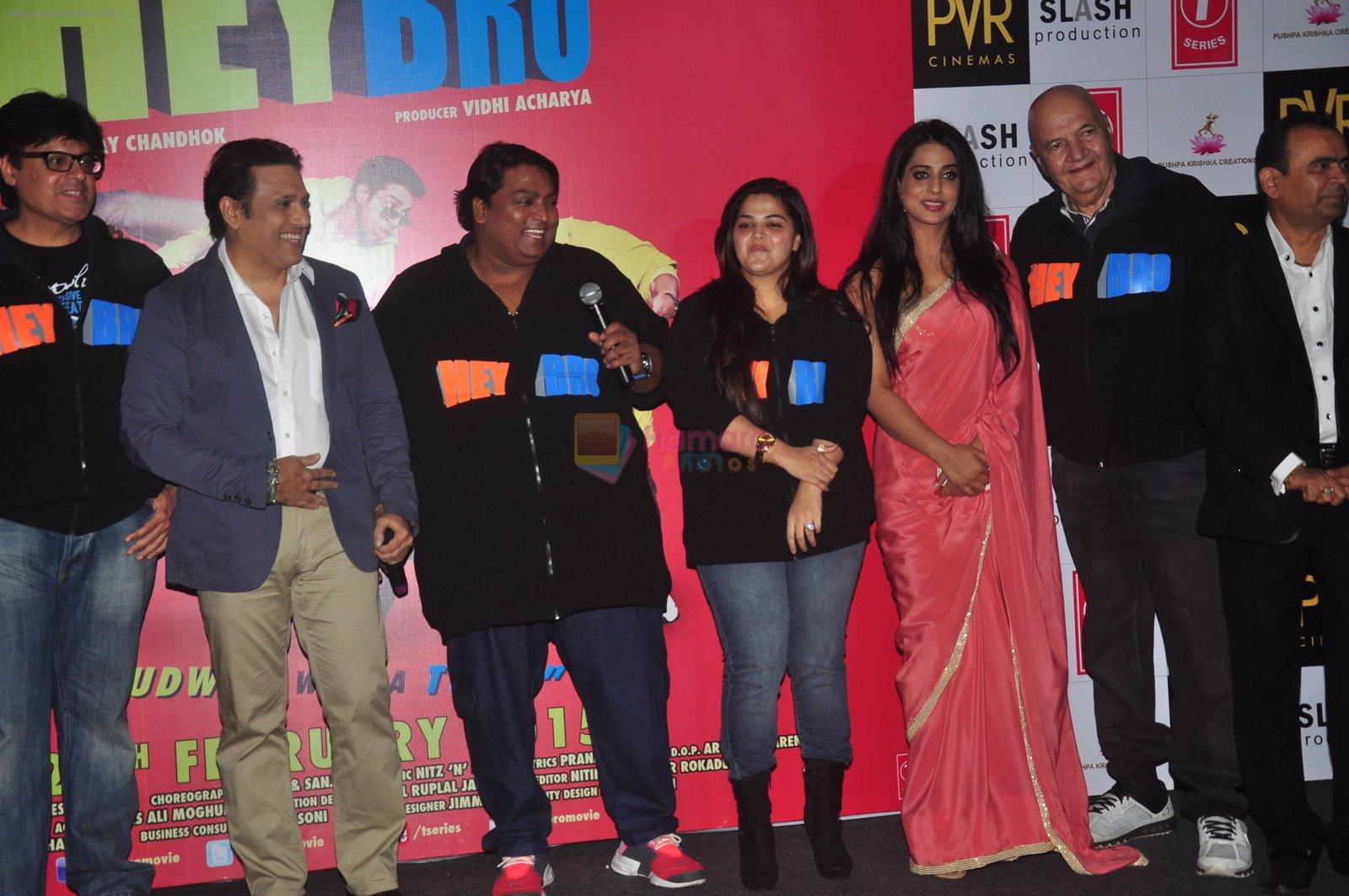 Govinda, Ganesh Acharya, Mahi Gill, Prem Chopra at Hey Bro launch in PVR on 15th Jan 2015