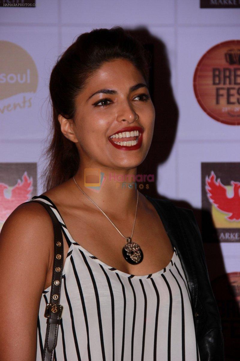 Parvathy Omanakuttan at the Brew Fest in Mumbai on 23rd Jan 2015