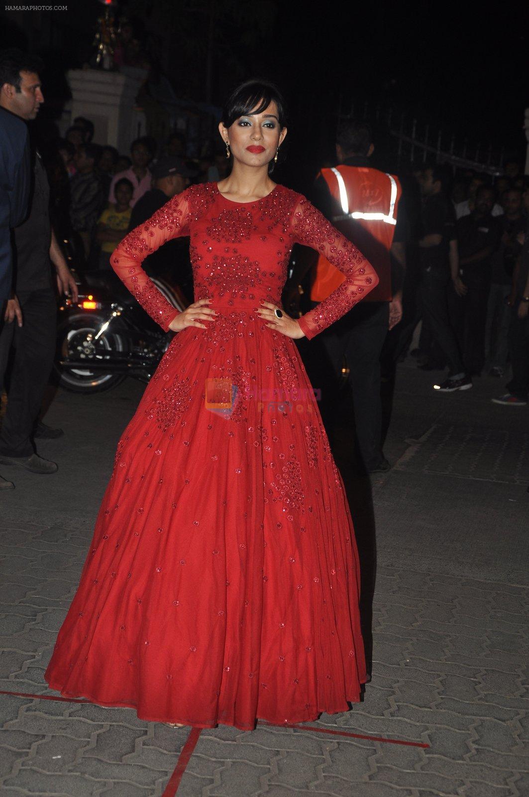 Amrita Rao at Filmfare Awards 2015 Arrival on 31st Jan 2015