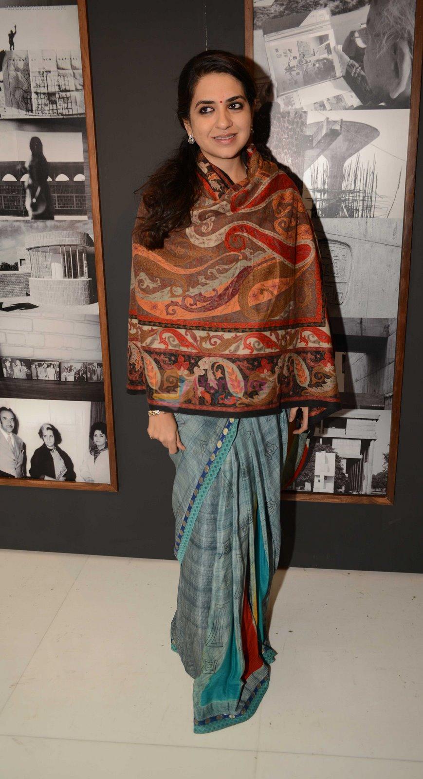 Shaina NC  ar Art Fair bash hosted by Kalyani Chawla in Delhi on 1st Feb 2015