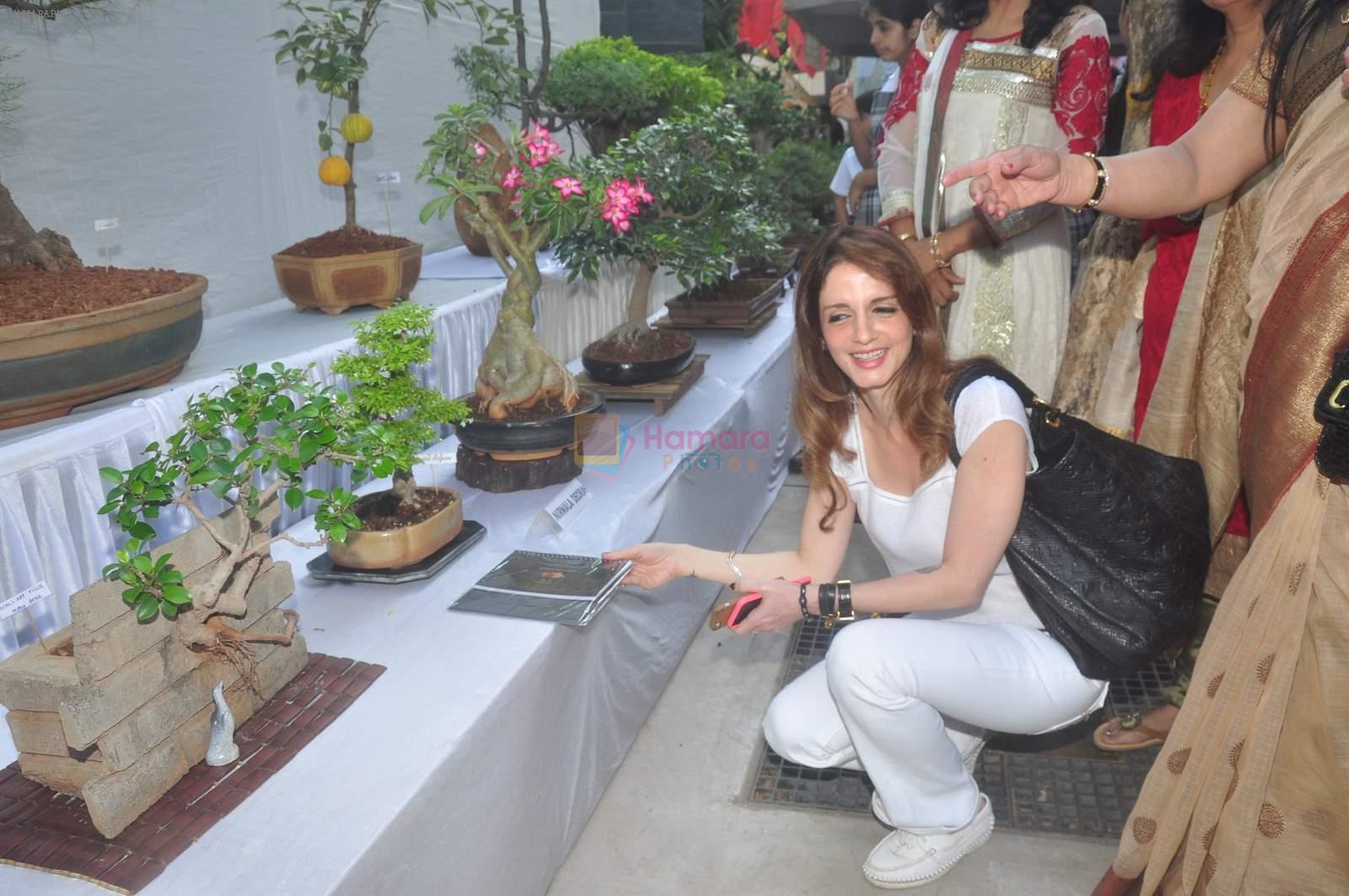 Suzanne Roshan inaugurates bonzai exhibition at Jamnabai school on 26th Feb 2015