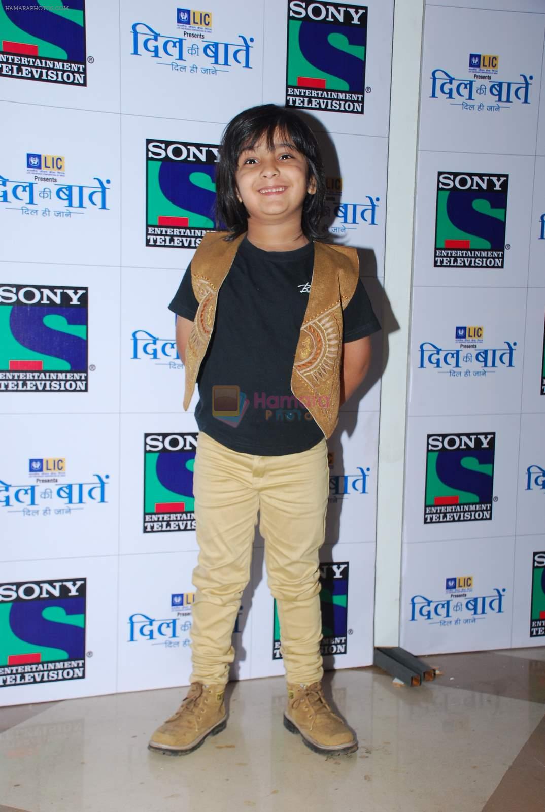 Ratna Shinde at Sony TV launches the new serial Dil Ki Baatein Dil Hi Jaane in J W Marriott, Mumbai on 23rd March 2015