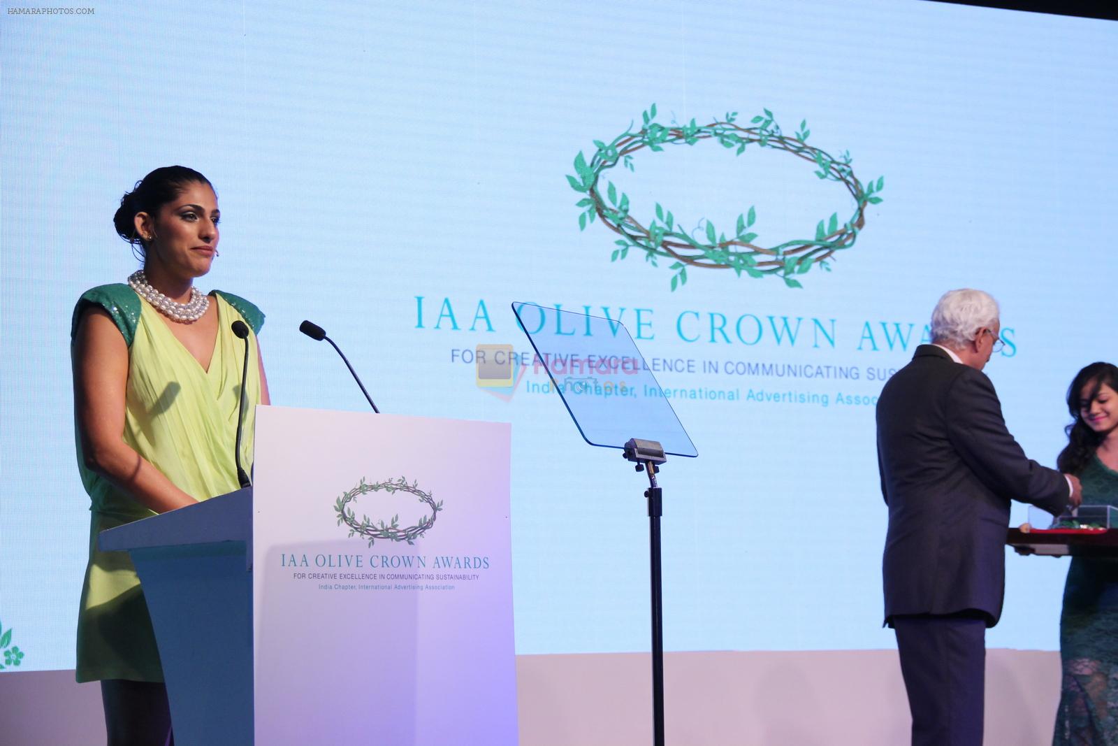 at IAA awards in Mumbai on 27th March 2015