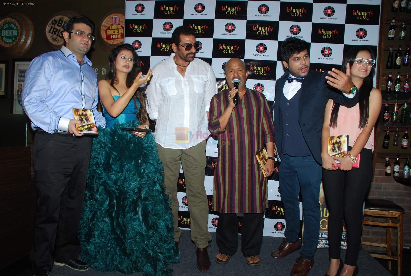 Sameer at Naughty girl album launch in Fun, Mumbai on 4th April 2015