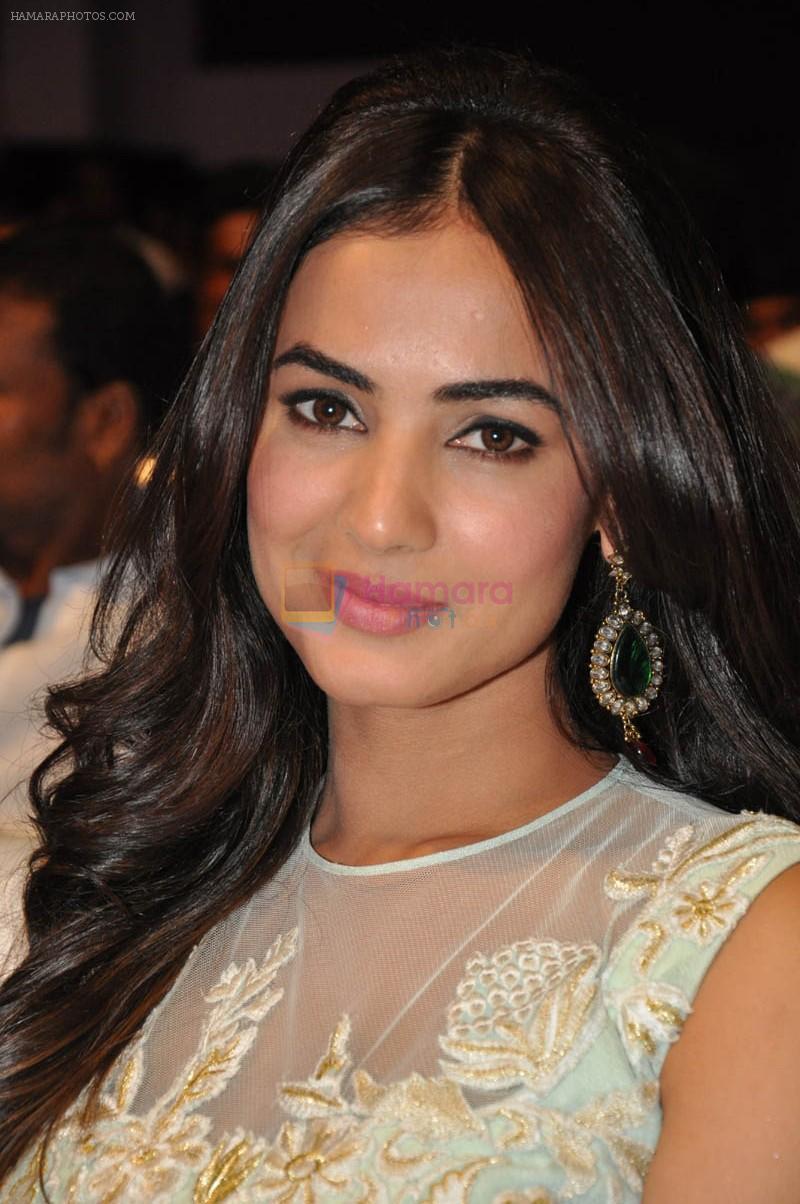 Sonal Chauhan at Pandaga Chesko Audio Launch on 1st may 2015