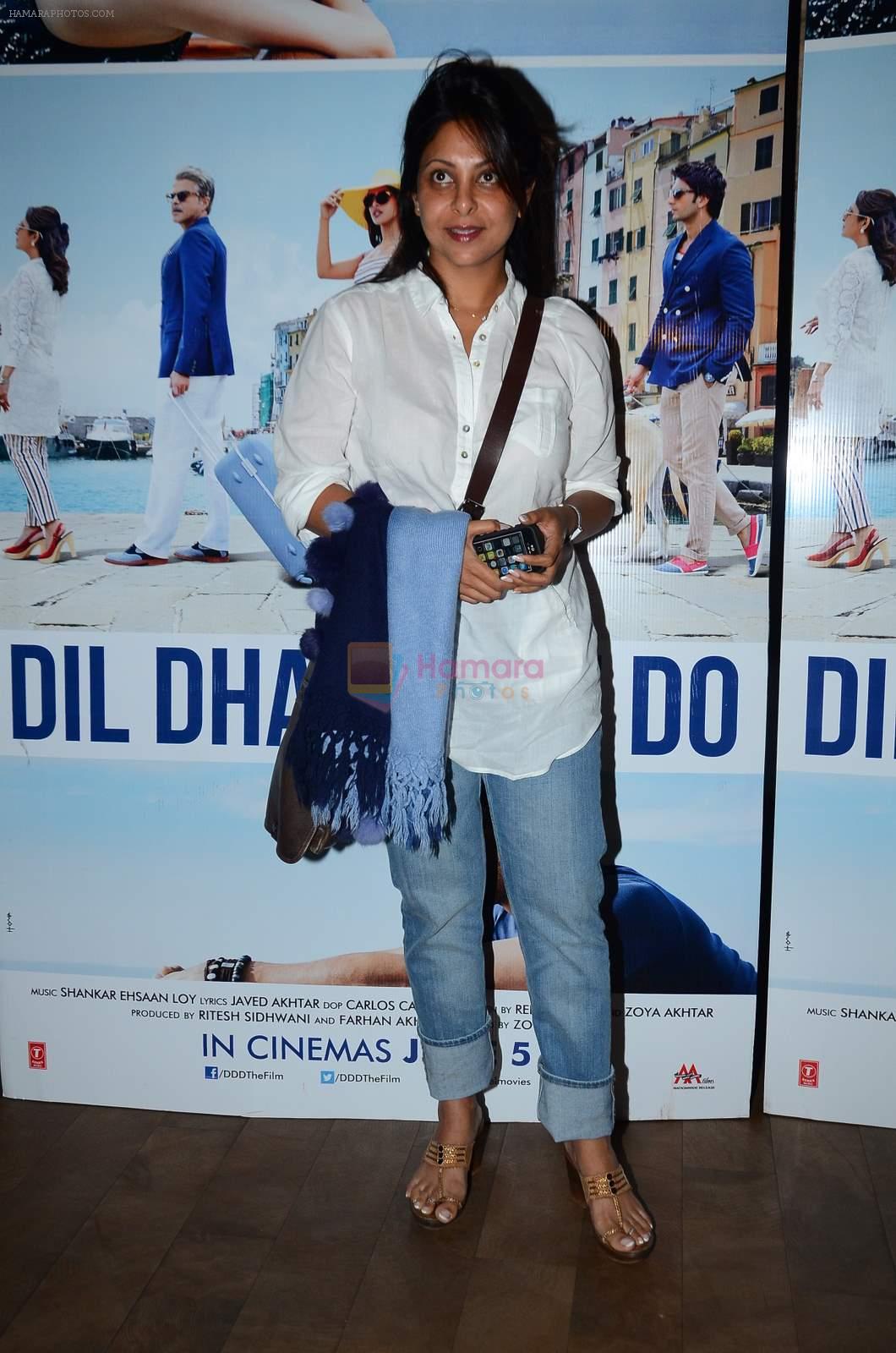 Shefali Shah at Dil Dhadakne Do screening in Mumbai on 28th May 2015