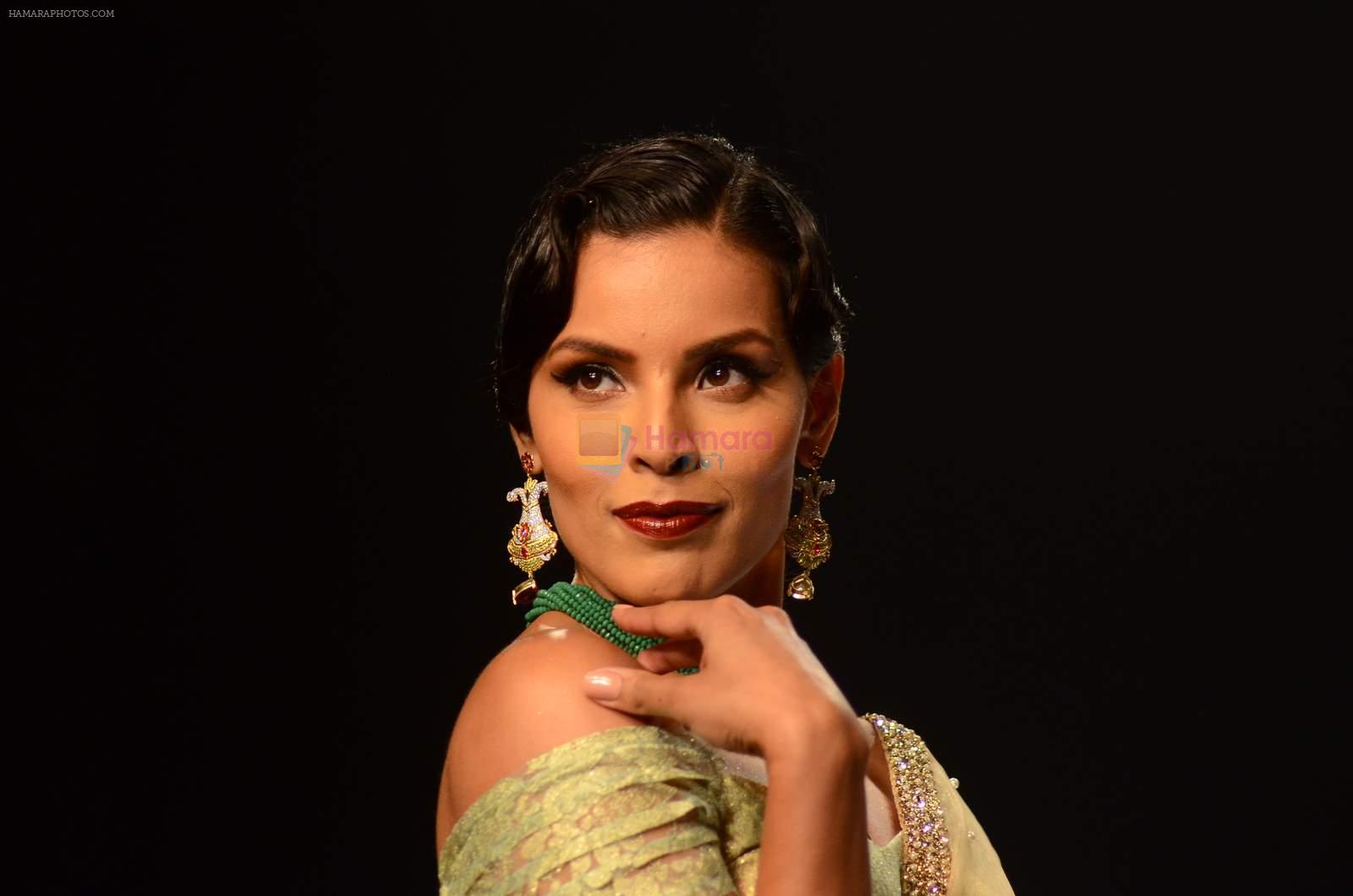 Model walk the ramp for IIJW 2015  Day 2 on 4th Aug 2015