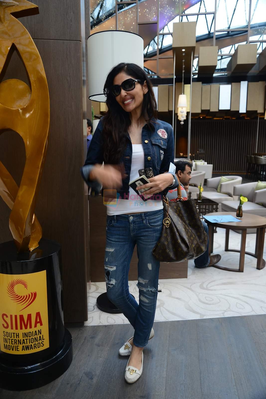 at siima day 2 arrivals on 6th Aug 2015