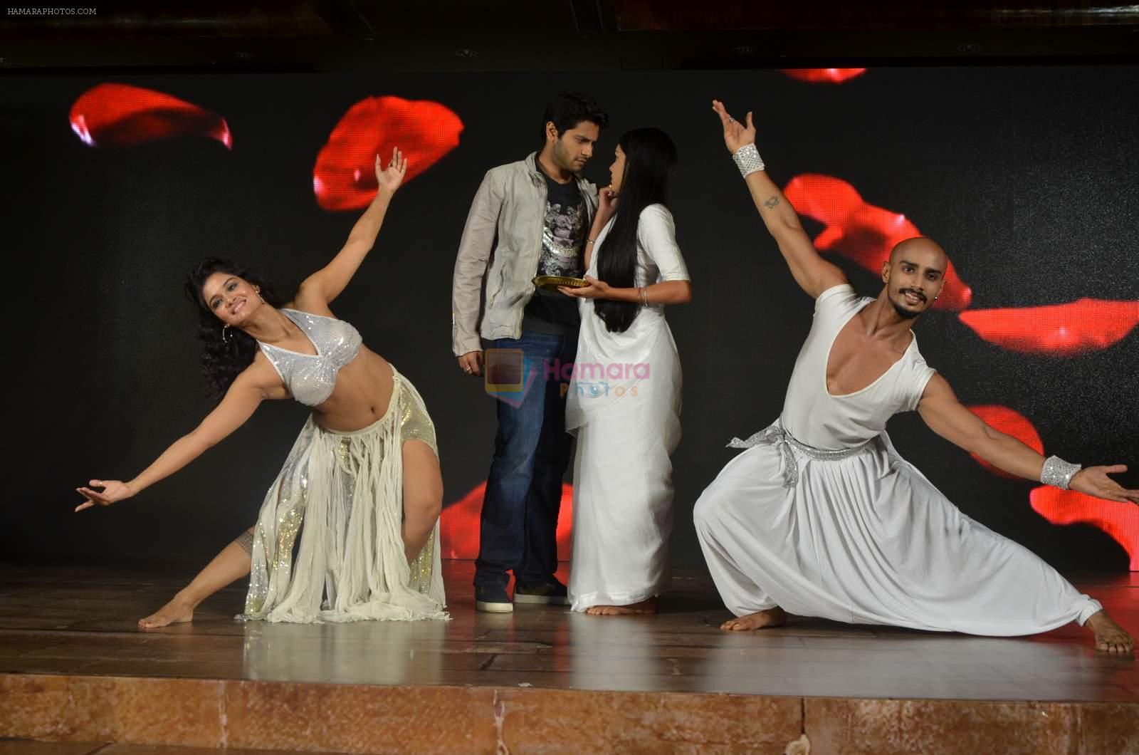 Vidya Sinha, Mishal Raheja at Colors launches its new show Ishq Ka Rang Safed in Novotel on 7th Aug 2015