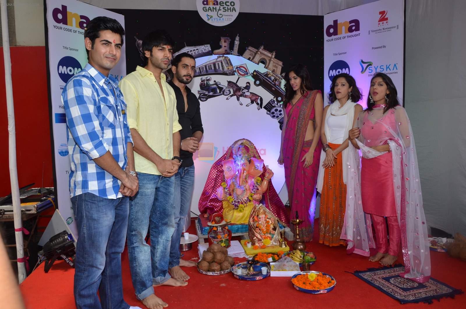 pyar ka punchnama cast at dna eco ganesha on 23rd Sept 2015