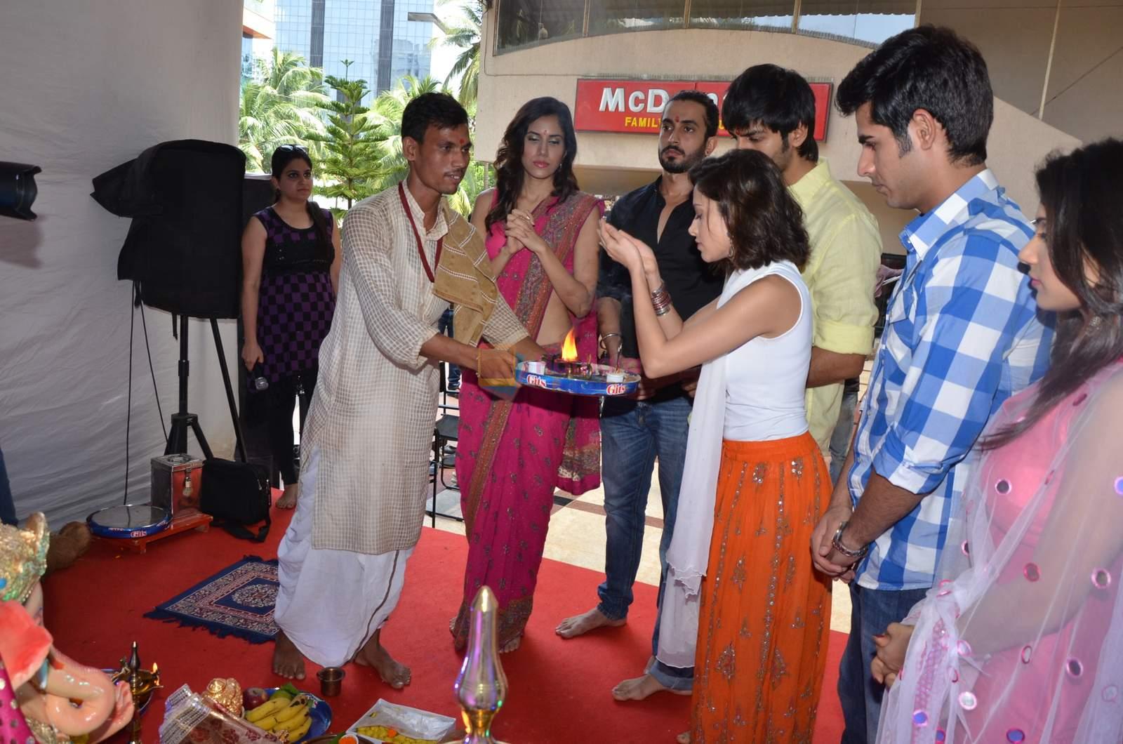pyar ka punchnama cast at dna eco ganesha on 23rd Sept 2015