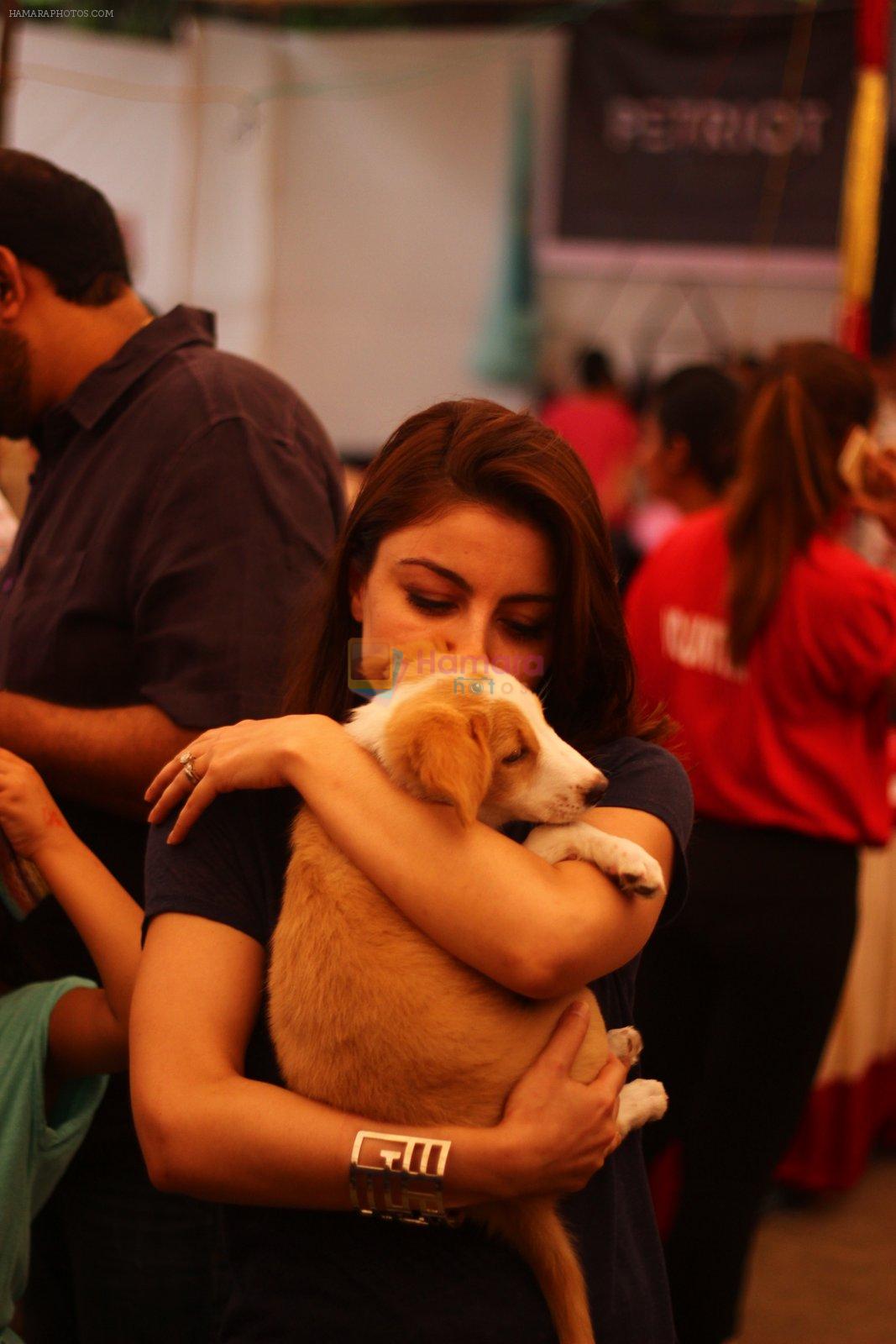 Soha ALi Khan at pet adoption in Juhu on 21st Nov 2015