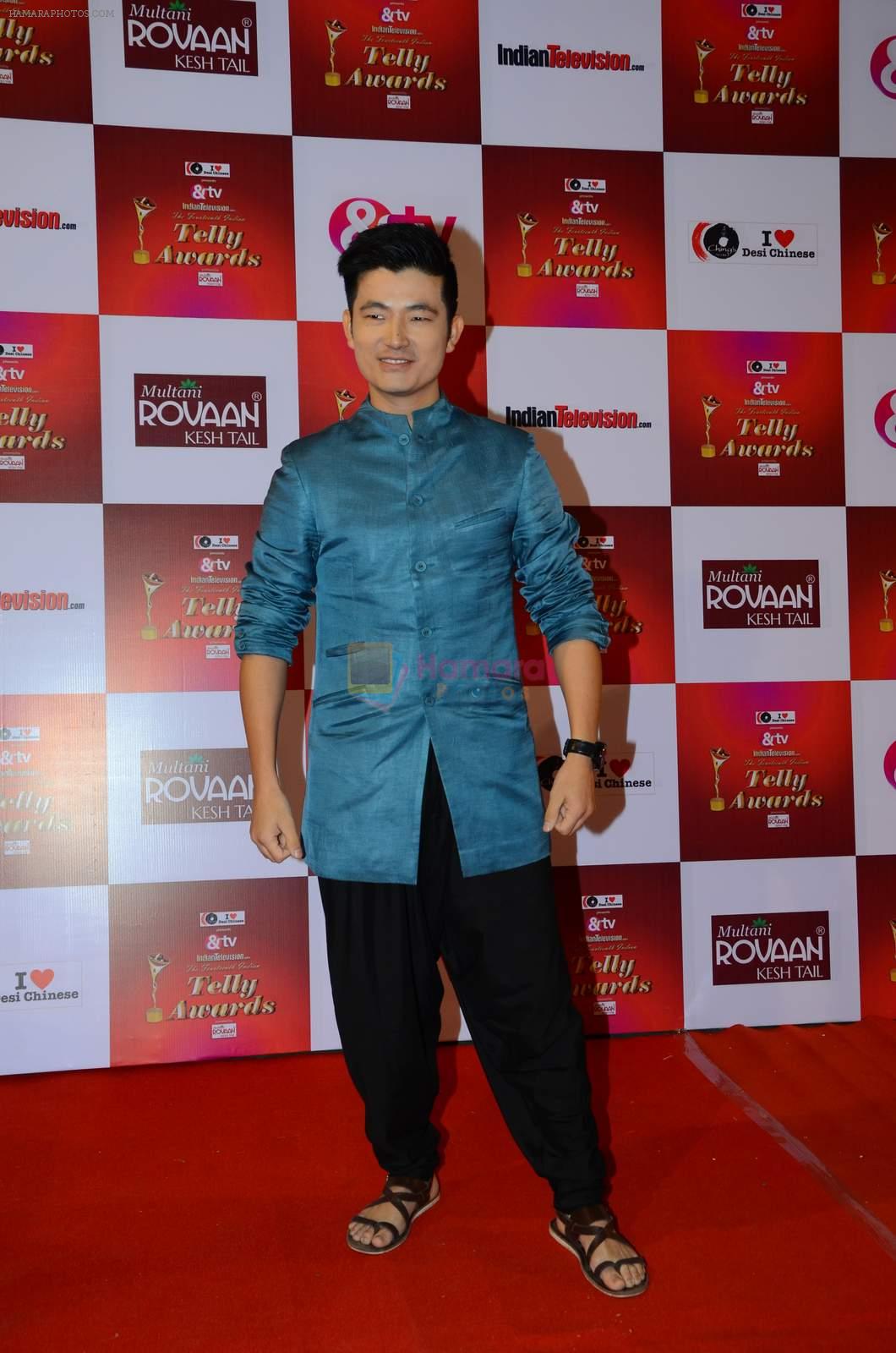 Meiyang Chang at Indian telly awards red carpet on 28th Nov 2015