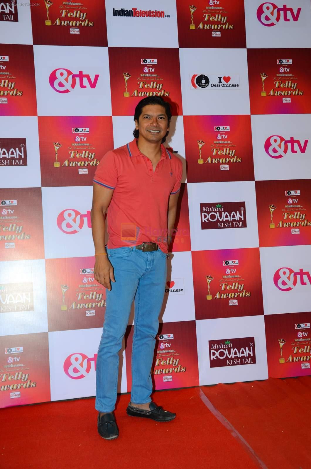 Shaan at Indian telly awards red carpet on 28th Nov 2015