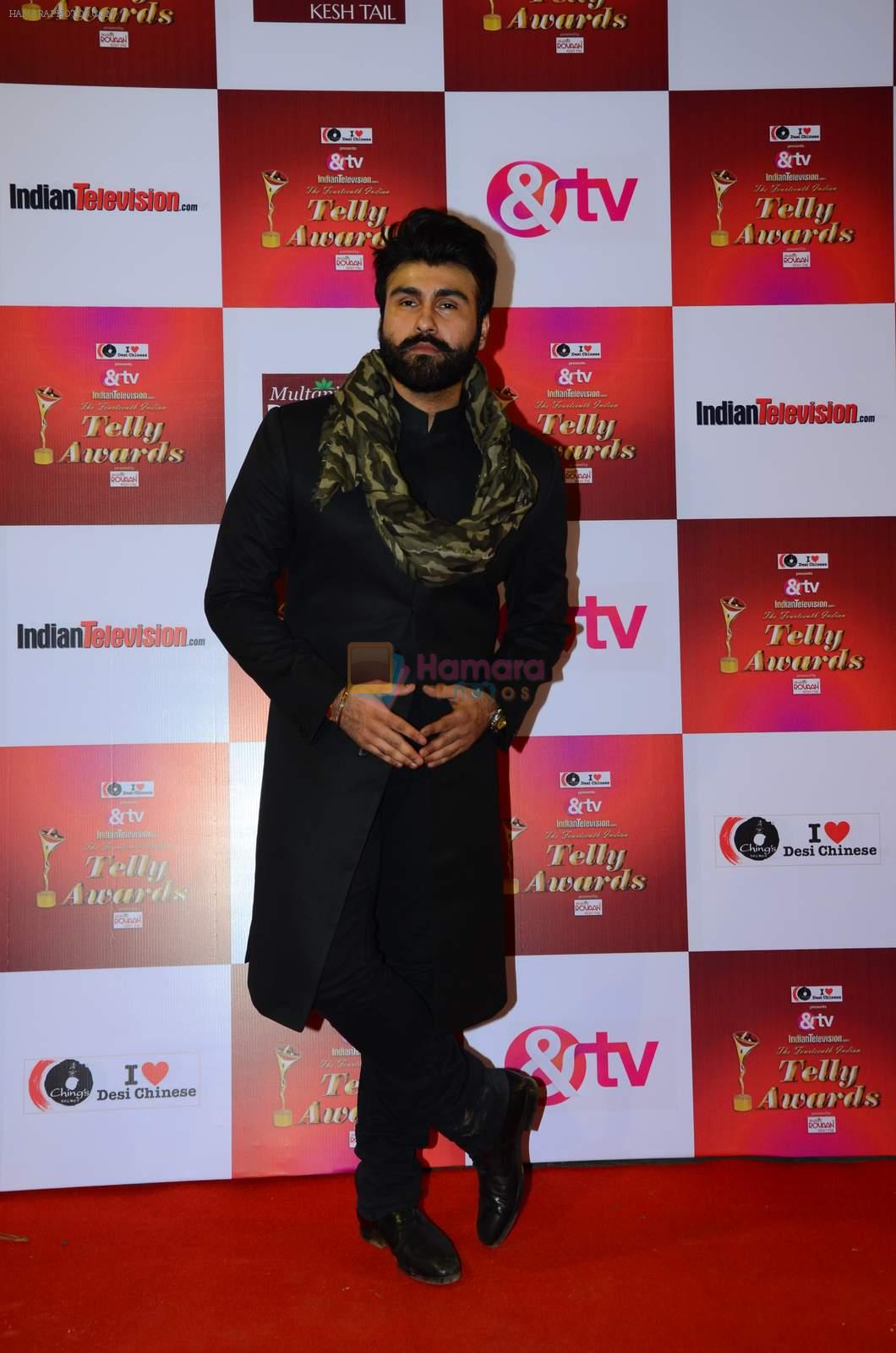 Arya Babbar at Indian telly awards red carpet on 28th Nov 2015