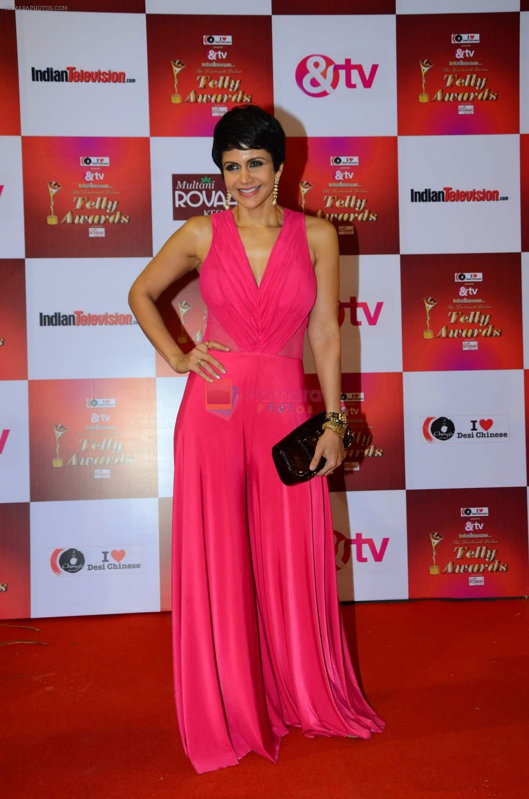 Mandira Bedi at Indian telly awards red carpet on 28th Nov 2015
