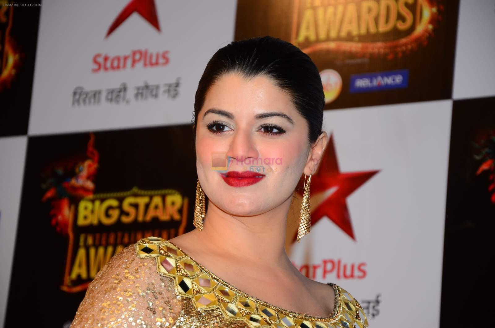 Kainaat Arora at Big Star Awards in Mumbai on 13th Dec 2015