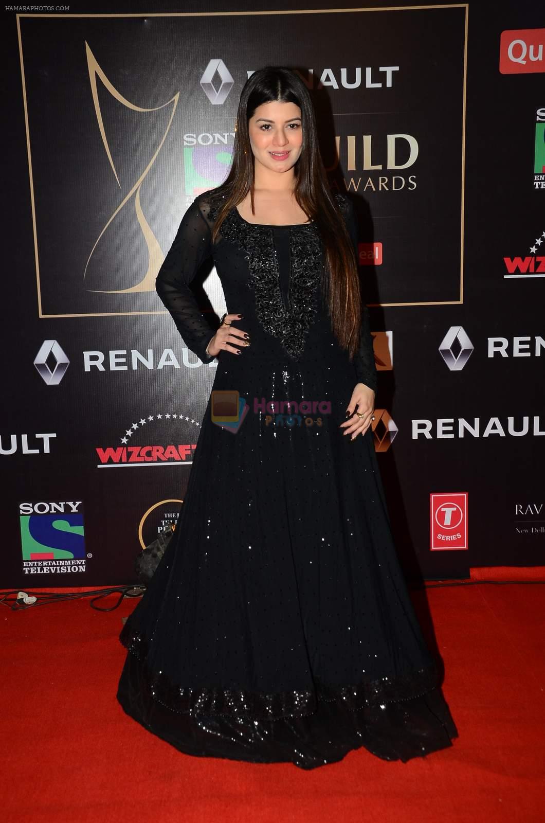 Kainaat Arora at Producer's Guild Awards on 22nd Dec 2015