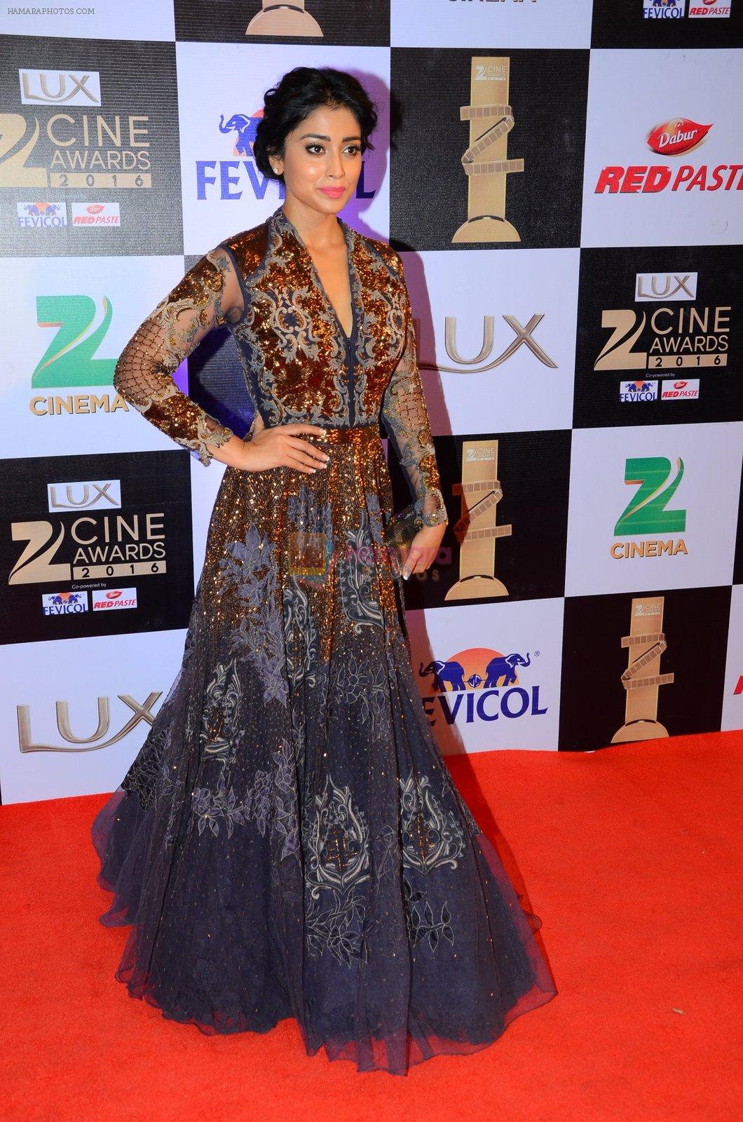 Shriya Saran at zee cine awards 2016 on 20th Feb 2016