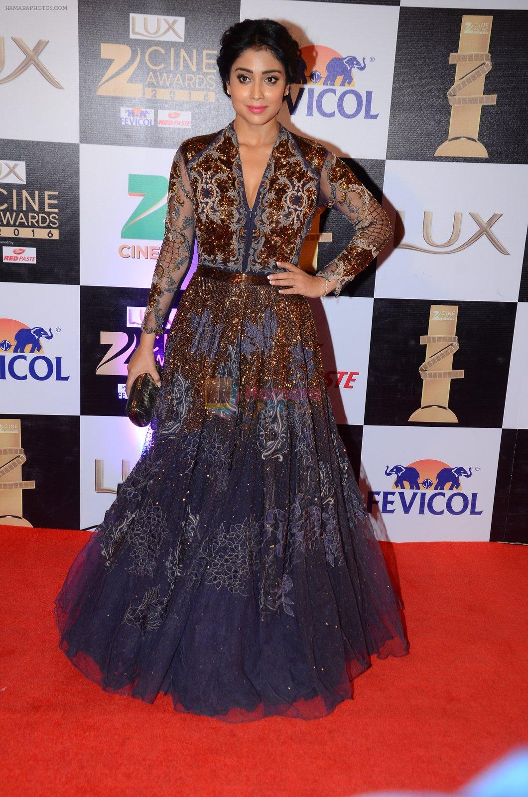 Shriya Saran at zee cine awards 2016 on 20th Feb 2016