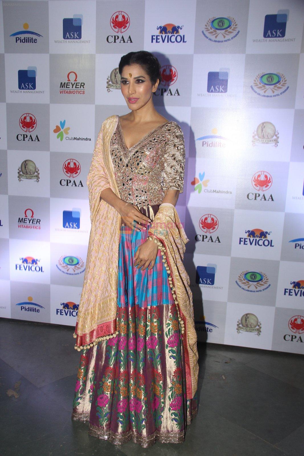 Sophie Chaudhary at CPAA Fevicol SHOW on 20th March 2016