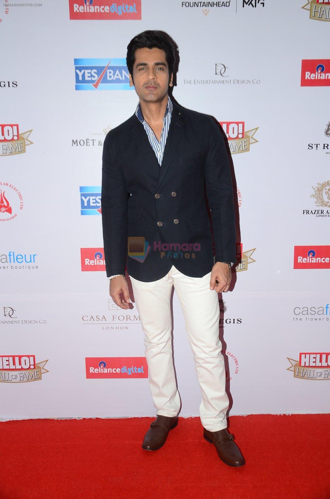 Arjan Bajwa at Hello Hall of Fame Awards 2016 on 11th April 2016