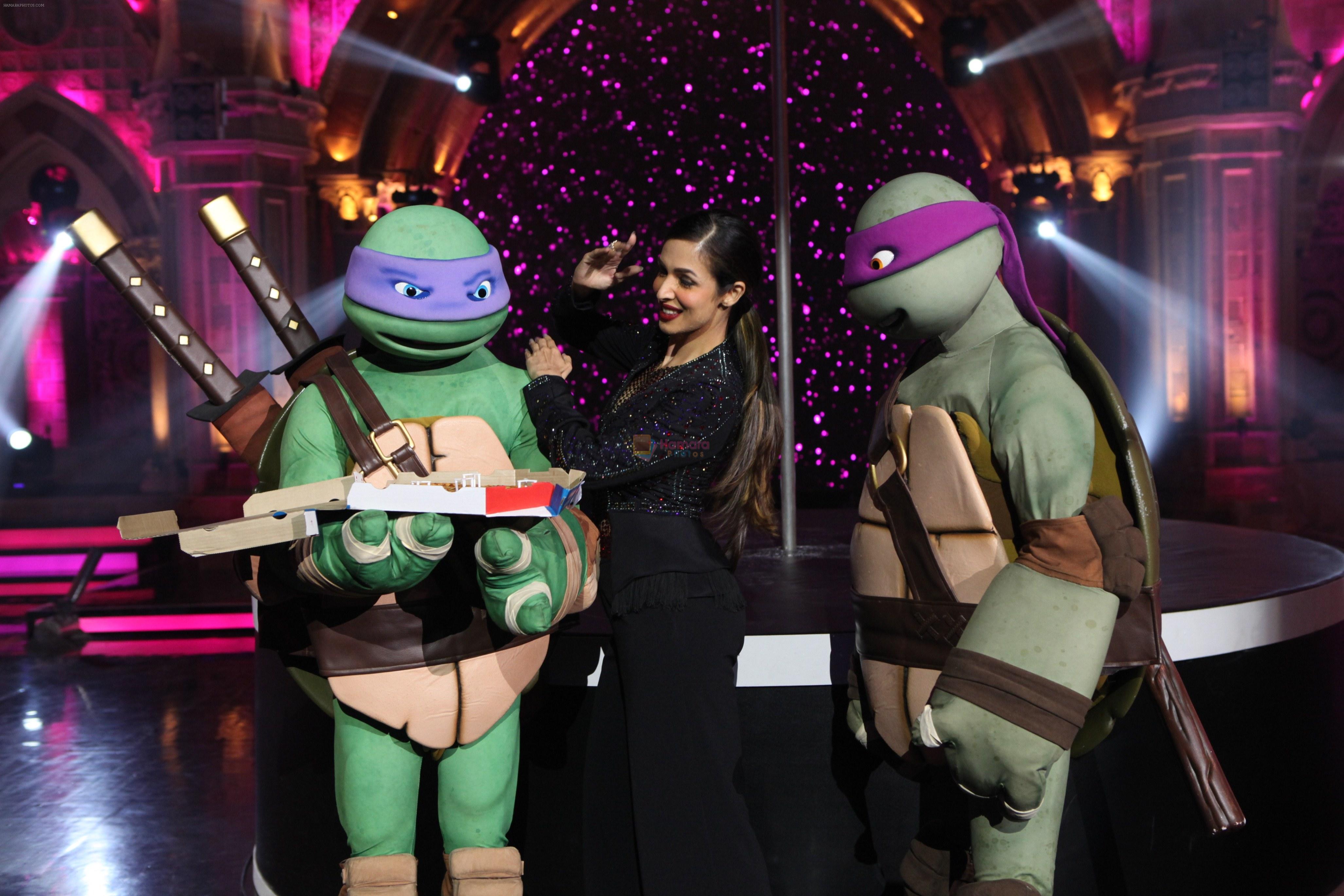 Malaika Arora showing her kung fu chops to Donatello and Leonardo on 30th May 2016