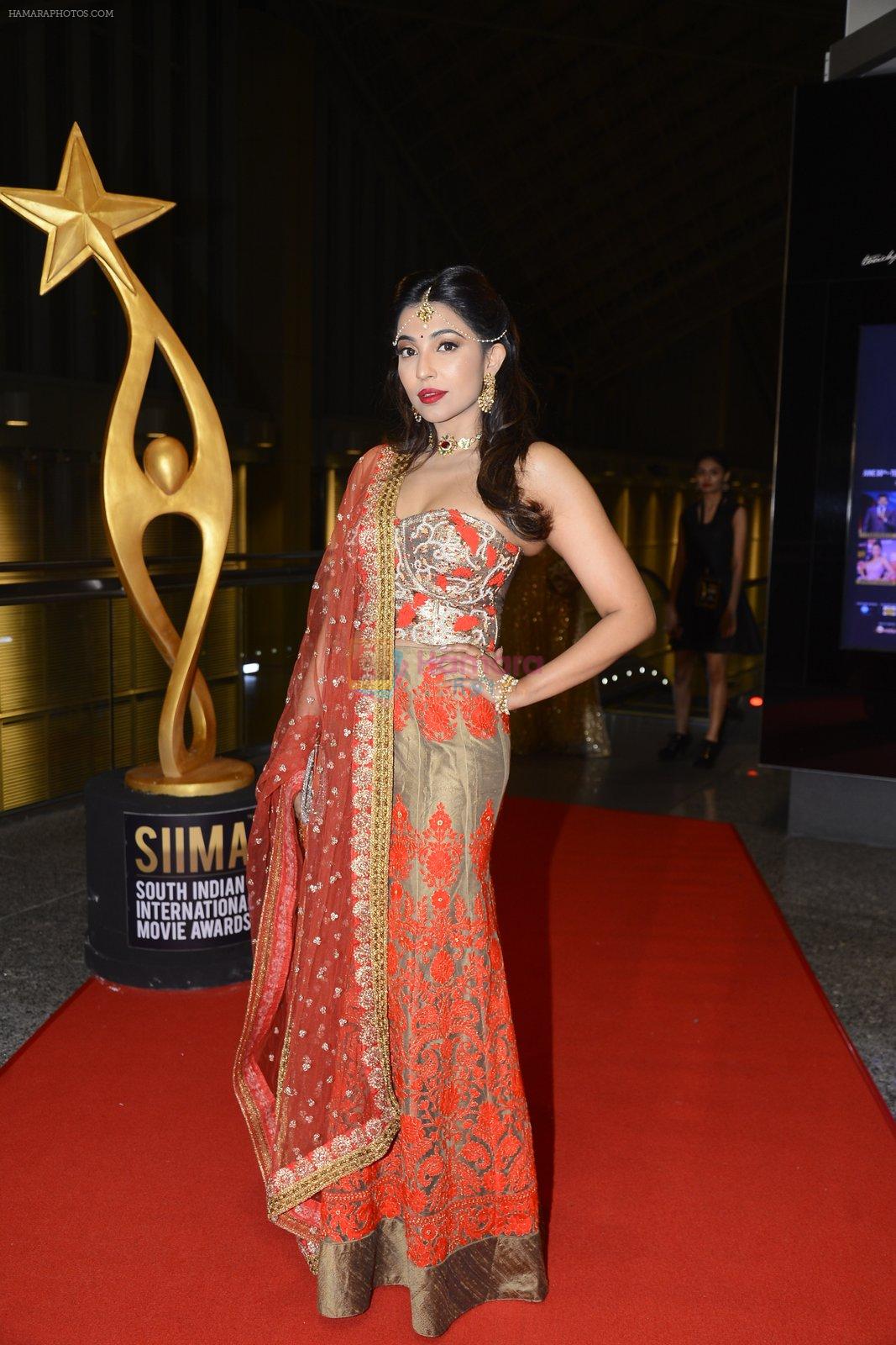 at SIIMA Awards 2016 Red carpet day 2 on 1st July 2016