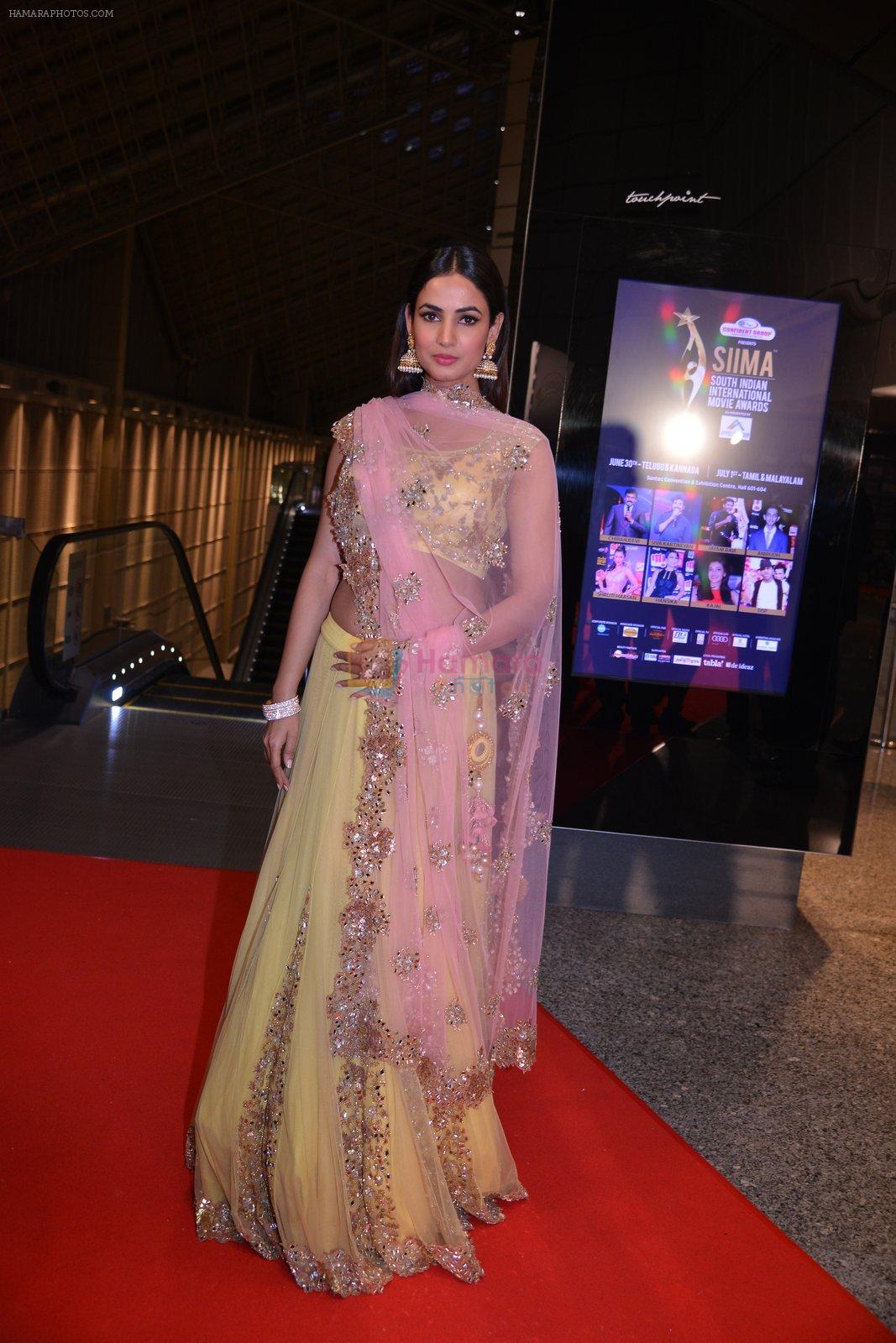 Sonal Chauhan at SIIMA Awards 2016 Red carpet day 2 on 1st July 2016