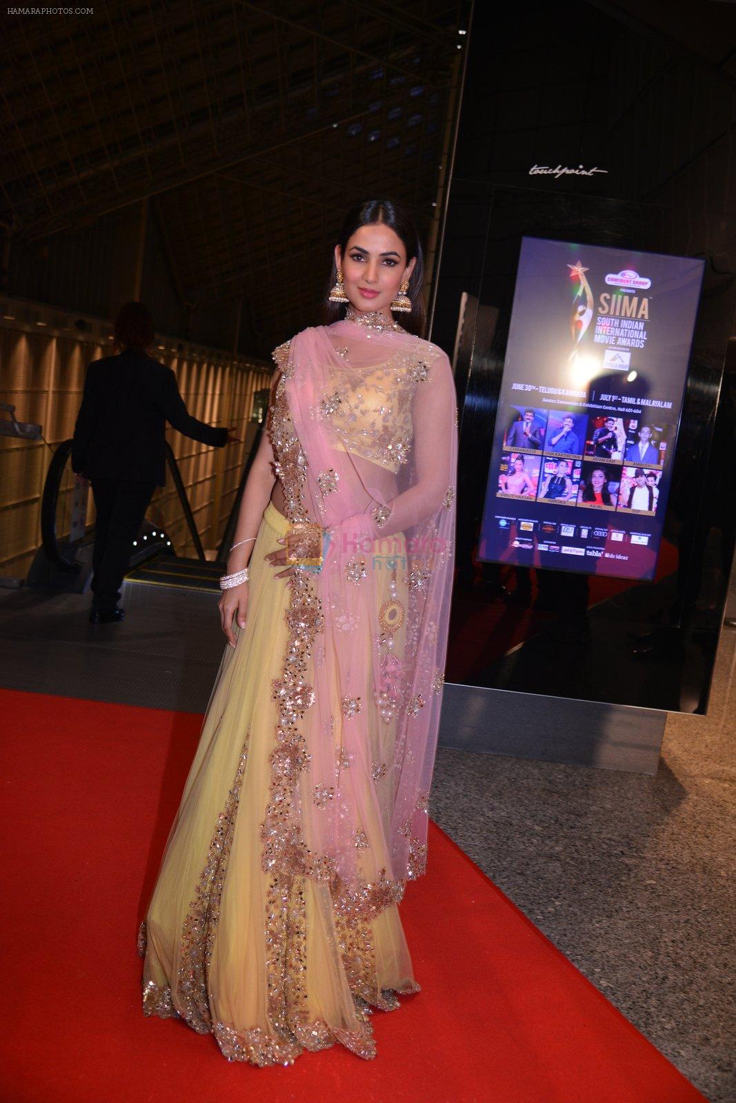 Sonal Chauhan at SIIMA Awards 2016 Red carpet day 2 on 1st July 2016