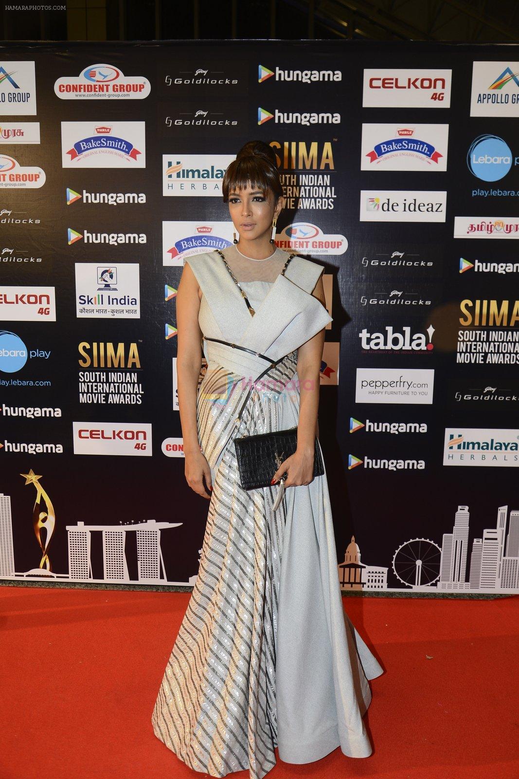 Lakshmi Manchu at SIIMA Awards 2016 Red carpet day 2 on 1st July 2016