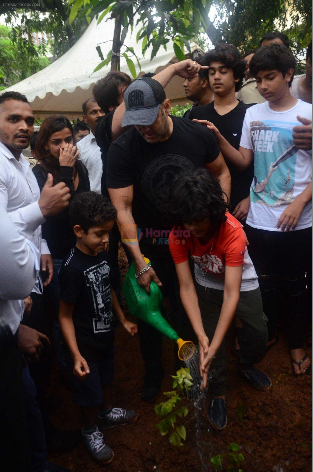 Salman Khan at tree plantation event in Mumbai on 10th July 2016