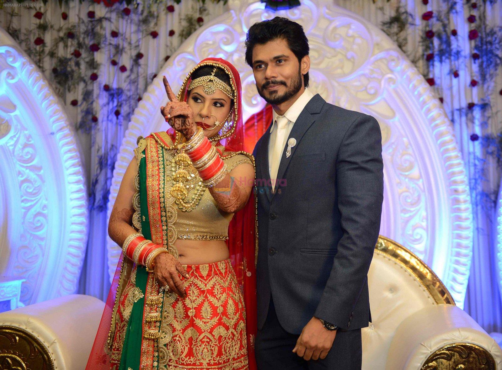 Sambhavna seth and Avinash Dwivedi's Wedding on 14th July 2016