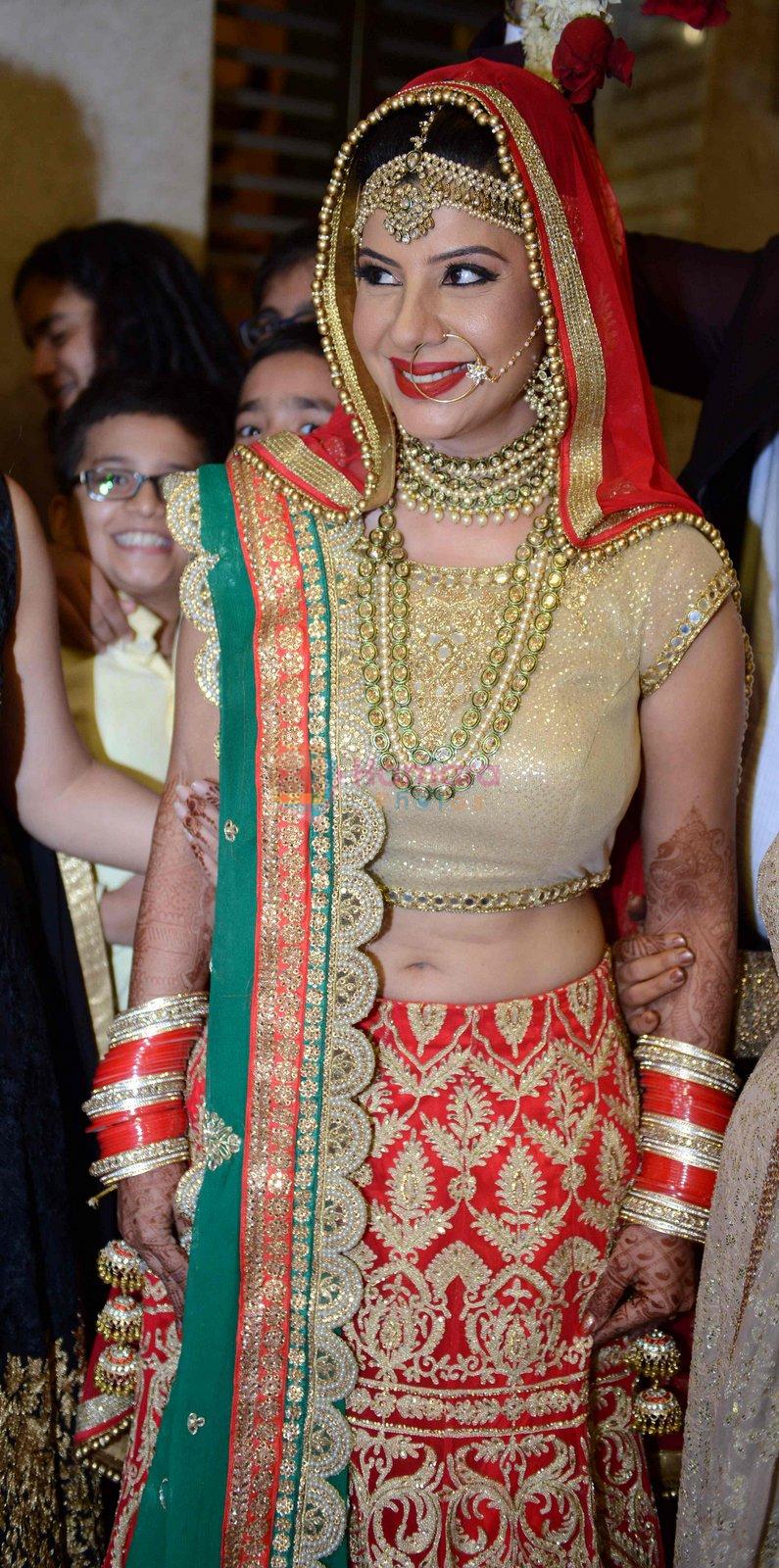 Sambhavna seth and Avinash Dwivedi's Wedding on 14th July 2016