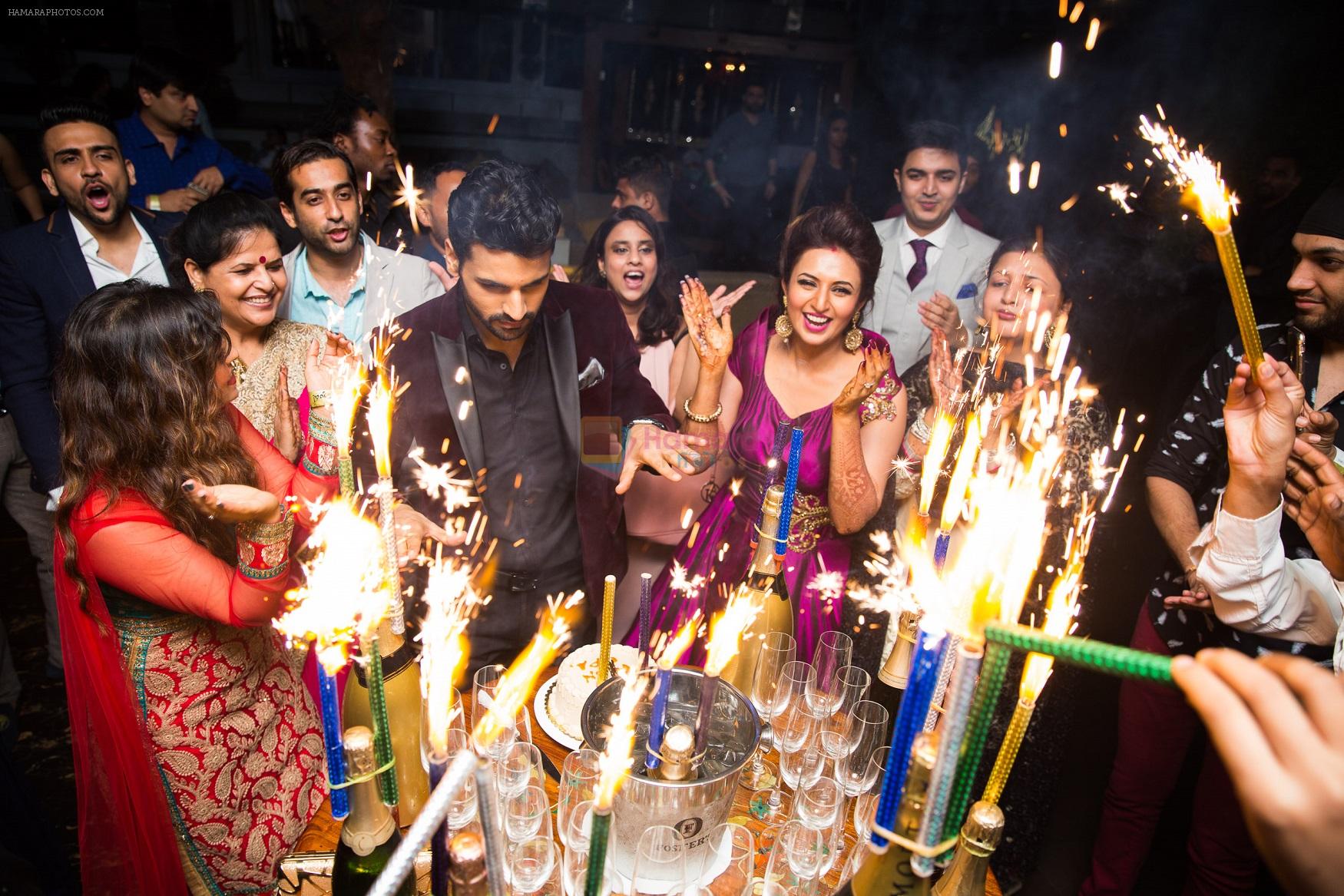 Divyanka-Vivek's Happily Ever After Party in Mumbai on 14th july 2016