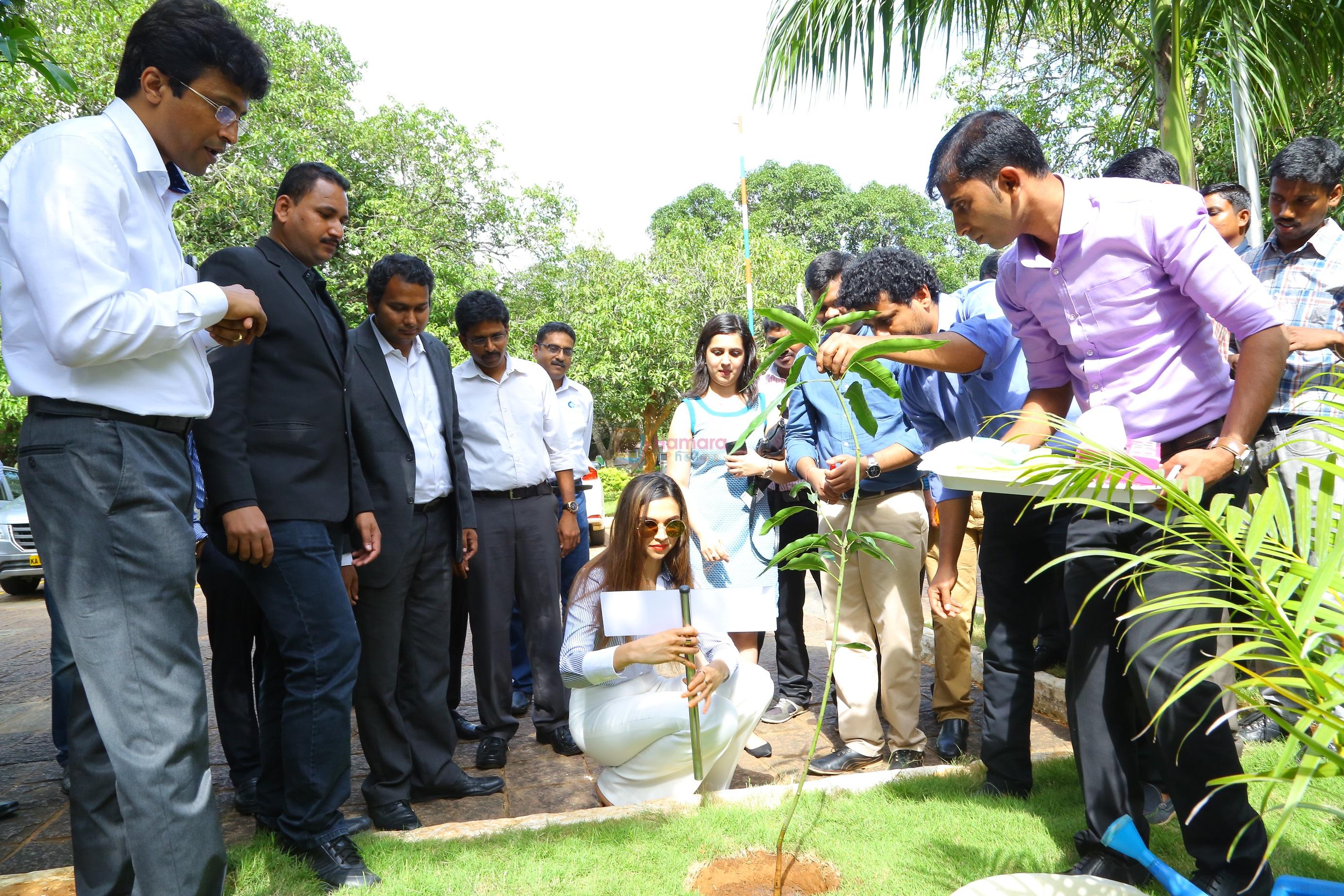 Deepika Padukone, brand ambassador of India�s no.1 sugar free chewing gum Orbit plants a mango tree sapling at the Wrigley India factory, the �Home of Orbit� in Bangalore on August 5, 2016