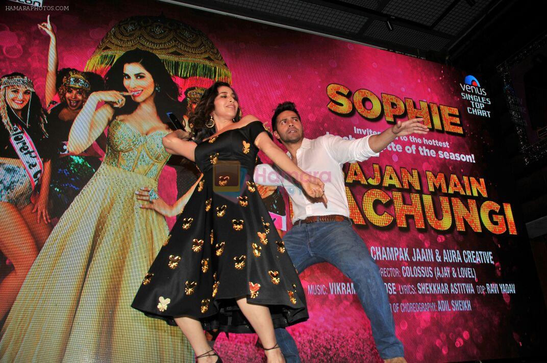 Varun Dhawan launches Sophie Choudry's new album on 27th Aug 2016