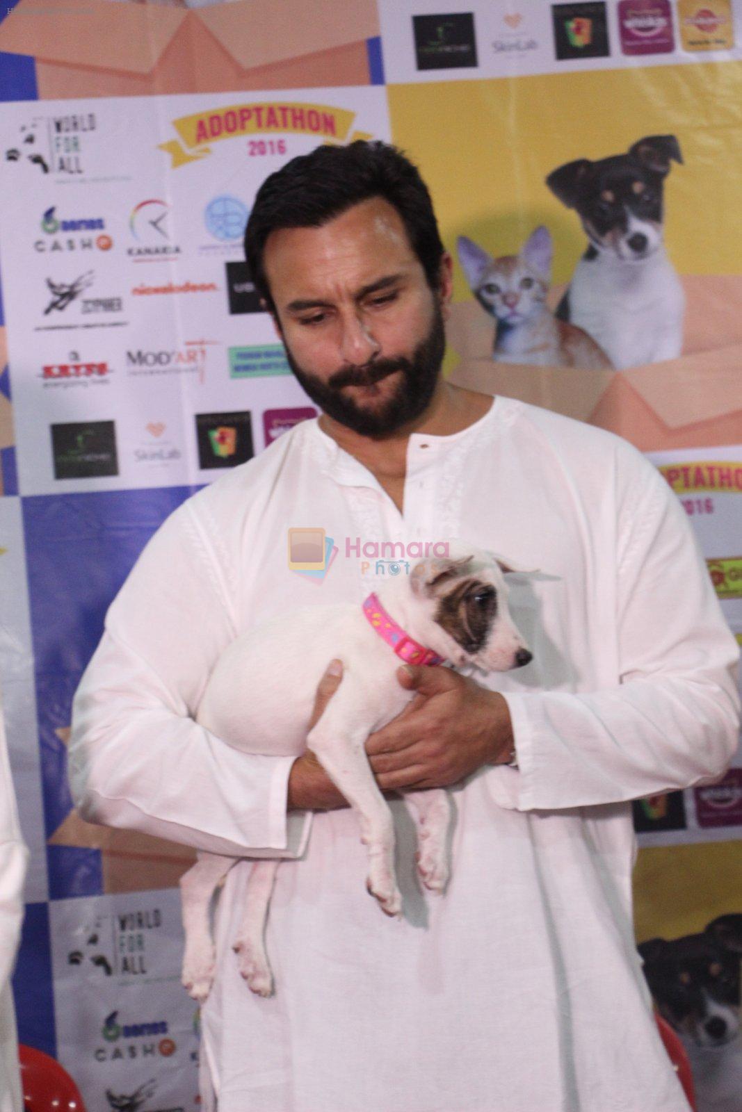 Saif Ali Khan at Pet adoptation on 26th Nov 2016