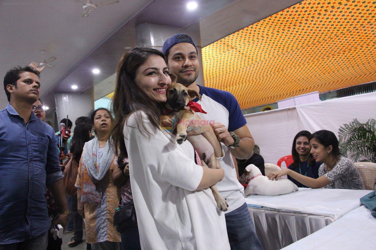 Soha Ali Khan, Kunal Khemu at Pet adoptation on 26th Nov 2016