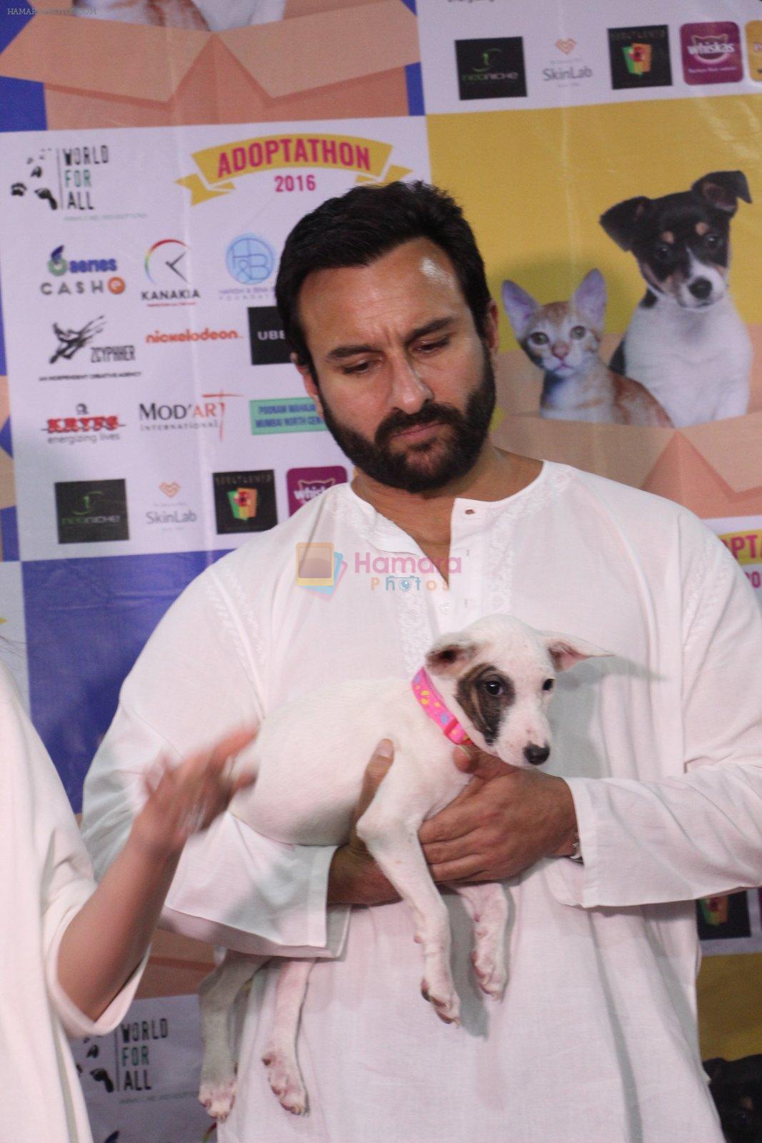Saif Ali Khan at Pet adoptation on 26th Nov 2016