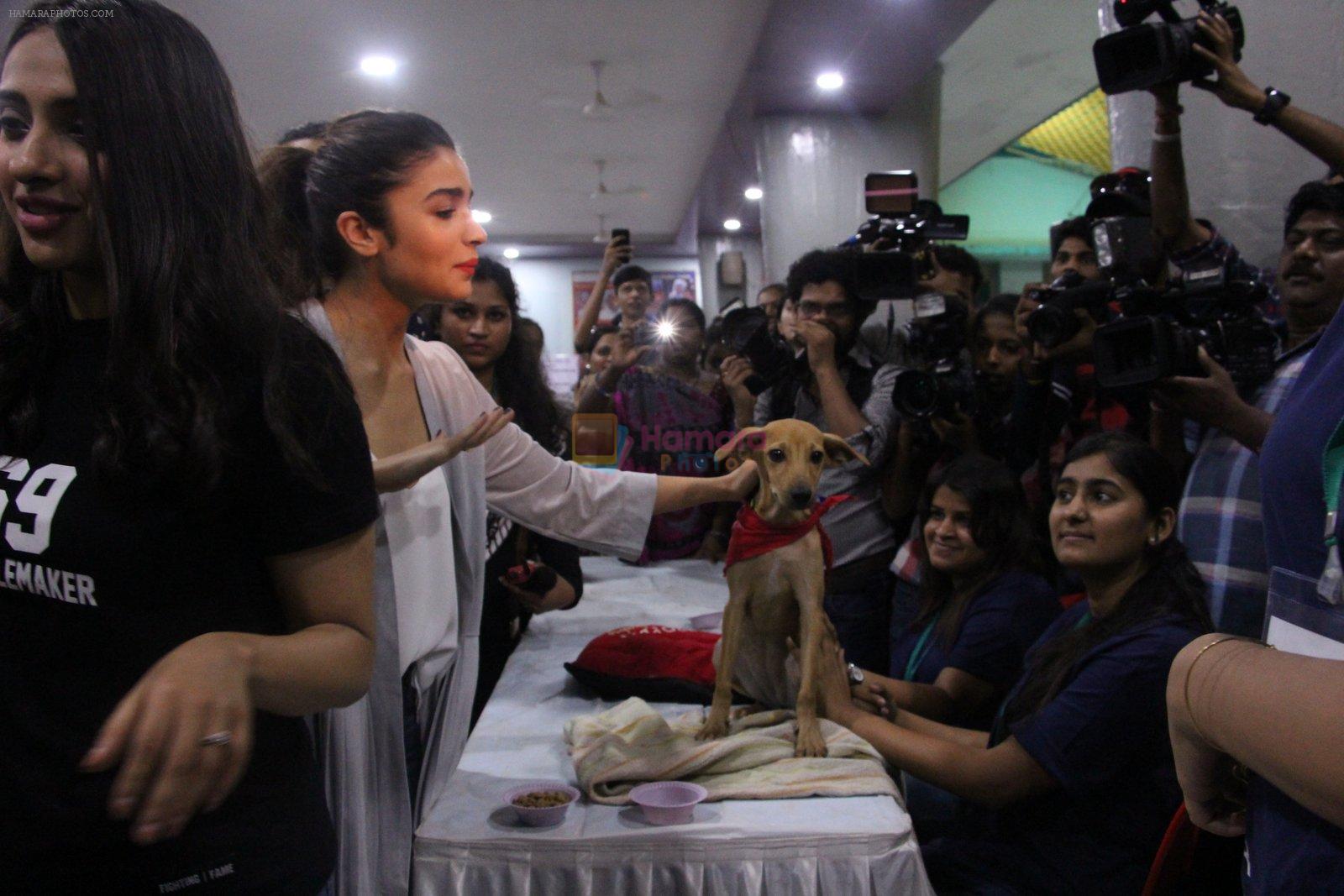 Alia Bhatt at Pet adoptation on 26th Nov 2016