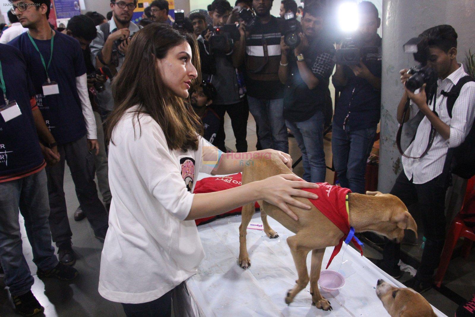 Soha Ali Khan at Pet adoptation on 26th Nov 2016