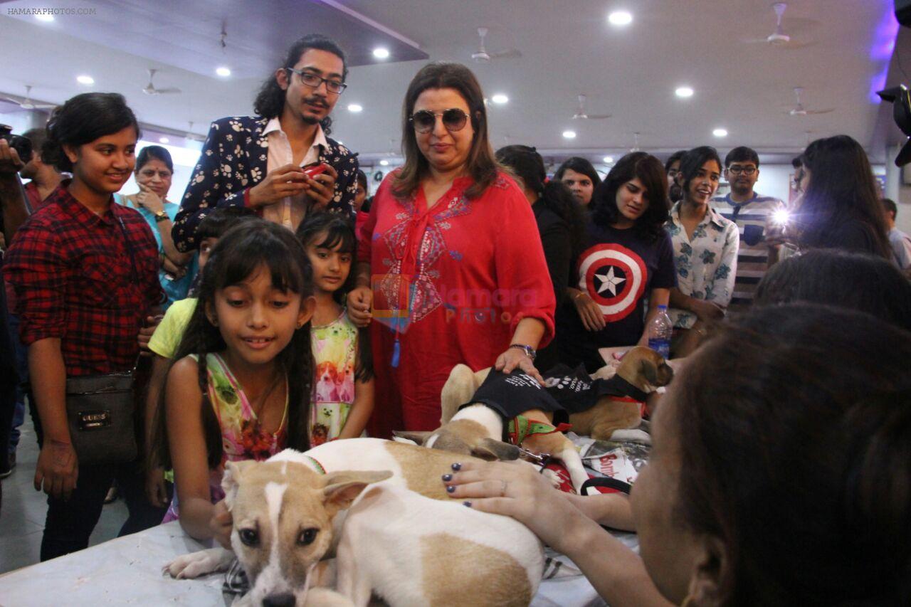 Farah Khan at pet adoption in Mumbai on 27th Nov 2016